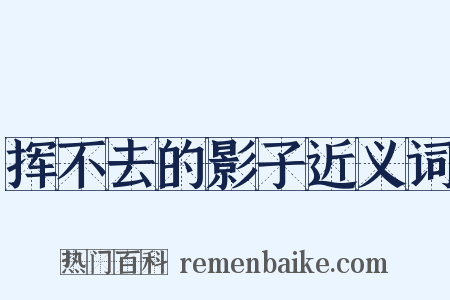 挥不去的影子近义词是什么意思的图片